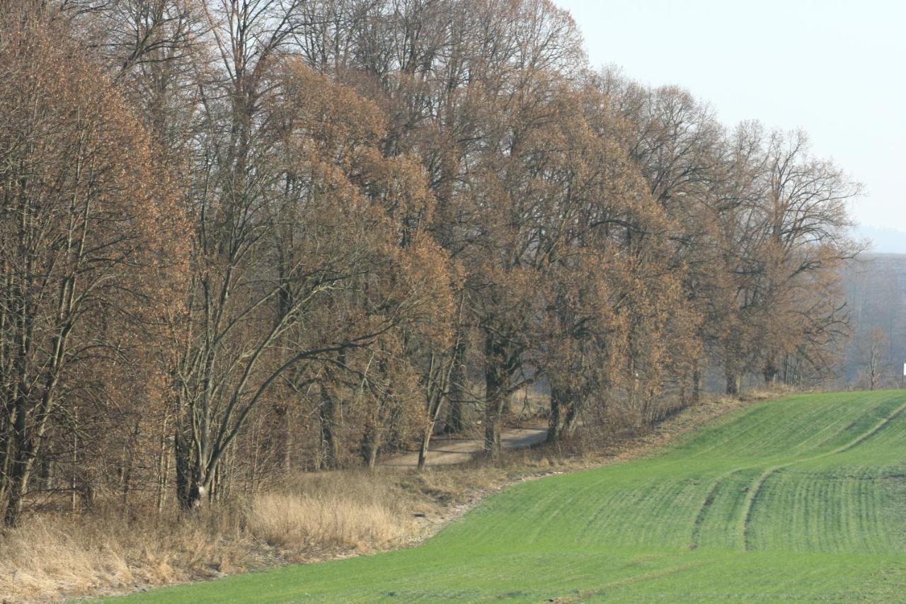 Zielone Okiennice Miłki Eksteriør billede
